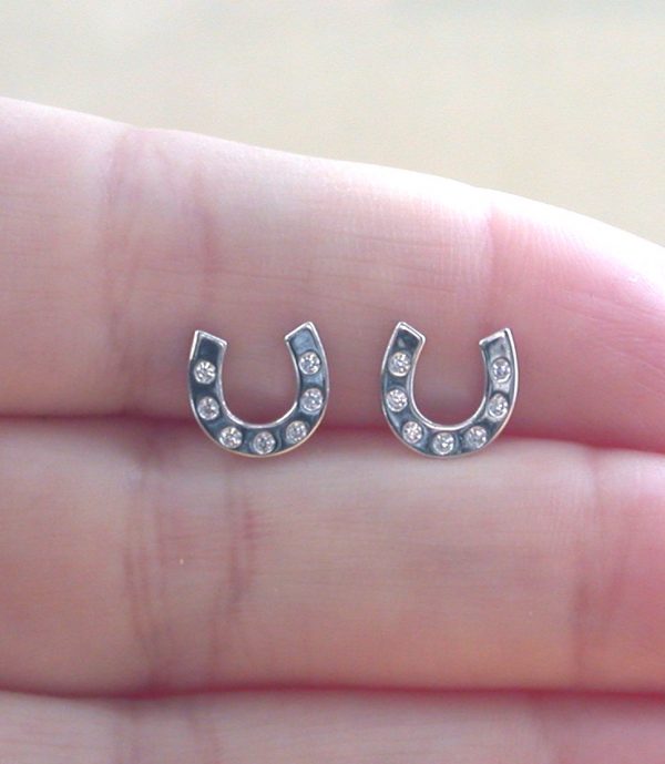 silver horseshoe earrings