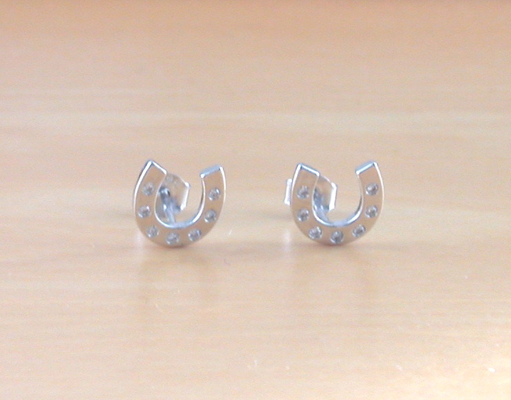 horseshoe earrings