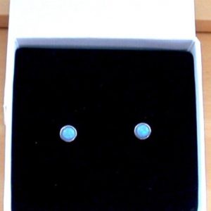 Blue Opal Earrings